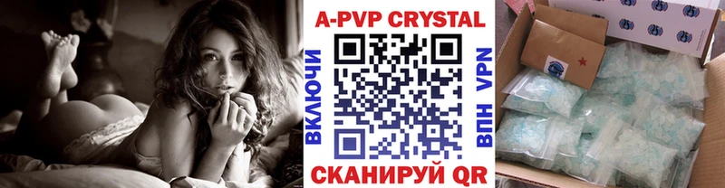 закладка  Энем  APVP СК 